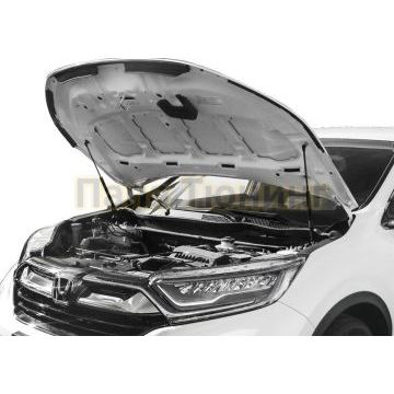 Амортизаторы капота, 2 шт. АвтоУпор для Honda CR-V V 2017-
