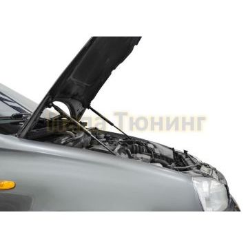Амортизаторы капота, 2 шт. АвтоУпор для Lada Kalina I 2004-2013