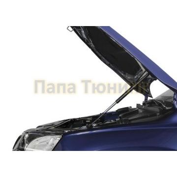 Амортизаторы капота, 2 шт. АвтоУпор для Skoda Karoq I 2020 -