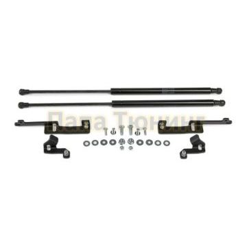 Амортизаторы капота, 2 шт. АвтоУпор для Toyota RAV4 III 2005-2010