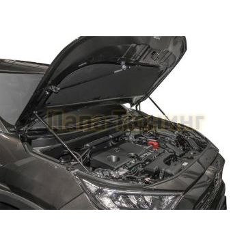 Амортизаторы капота, 2 шт. АвтоУпор для Toyota RAV4 V 2019-