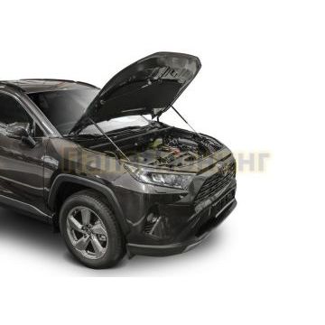 Амортизаторы капота, 2 шт. АвтоУпор для Toyota RAV4 V 2019-