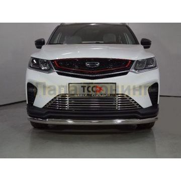 Защита передняя нижняя 60,3 мм ТСС для Geely Coolray 2020-2024
