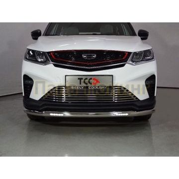 Защита передняя нижняя (с ДХО) 60,3 мм ТСС для Geely Coolray 2020-2024