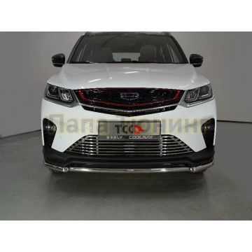 Защита передняя нижняя 42,4 мм ТСС для Geely Coolray 2020-2024