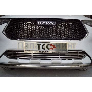 Решетка радиатора нижняя 12 мм ТСС для HAVAL F7 2019-2022 (1,5 л., 4WD)