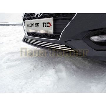 Решетка радиатора нижняя 12 мм ТСС для Hyundai Accent 2017-