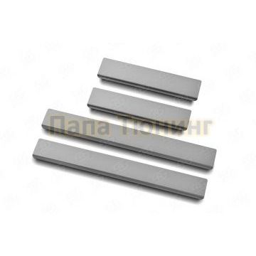 Накладки на пороги RUSSTAL (нерж., шлиф) РусСталь для Lada Xray Exclusive 2017-