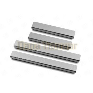 Накладки на пороги RUSSTAL (нерж., зеркало) РусСталь для Skoda Rapid 2012-