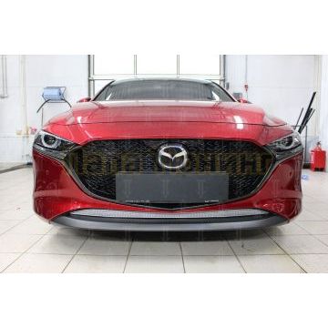 Защита радиатора Mazda 3 2019- chrome низ