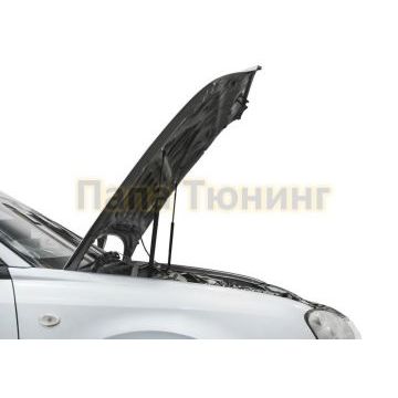 Амортизаторы капота, 2 шт. Rival для Subaru Impreza II / II рестайлинг 1 / II рестайлинг 2 2000-2007