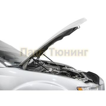 Амортизаторы капота, 2 шт. Rival для Mitsubishi Outlander II / II рест. 2005-2009 /2009-2013