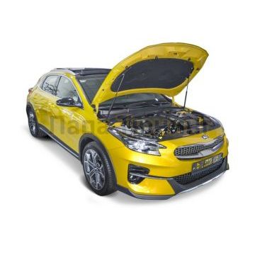 Амортизаторы капота, 2 шт. АвтоУпор для Kia XCEED 2020-