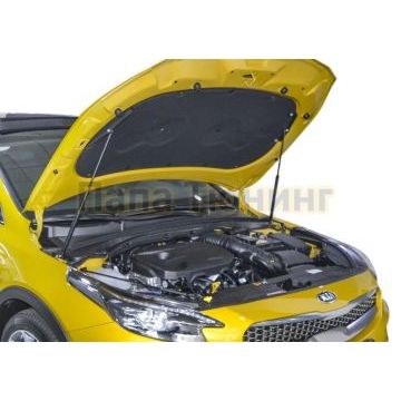 Амортизаторы капота, 2 шт. АвтоУпор для Kia XCEED 2020-