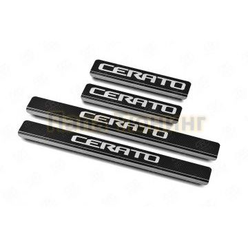 Накладки на пороги RUSSTAL (нерж., карбон, надпись) РусСталь для Kia Cerato 2018- Накладки на пороги RUSSTAL (нерж., карбон, надпись) РусСталь для Kia Cerato 2018-