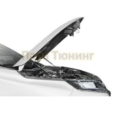 Амортизаторы капота, 2 шт. Rival для Mitsubishi ASX I рестайлинг 3 2020-