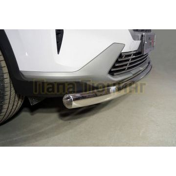 Защита передняя нижняя (овальная) 75х42 мм ТСС для Hyundai Santa Fe 2021-