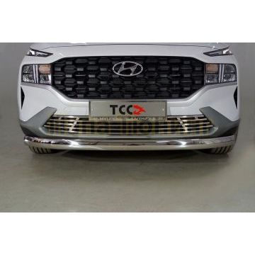 Защита передняя нижняя (овальная) 75х42 мм ТСС для Hyundai Santa Fe 2021-
