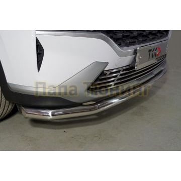 Защита передняя нижняя 60,3 мм ТСС для Hyundai Santa Fe 2021-