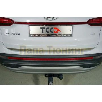 Накладка на заднюю дверь (лист зеркальный) ТСС для Hyundai Santa Fe 2021-