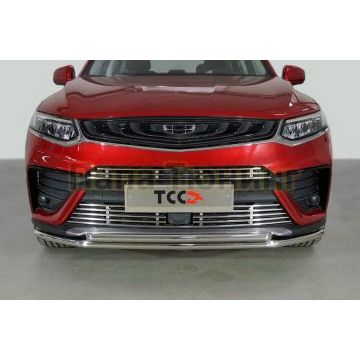 Защита передняя нижняя (двойная) 42,4/42,4 мм ТСС для Geely Tugella 2020-