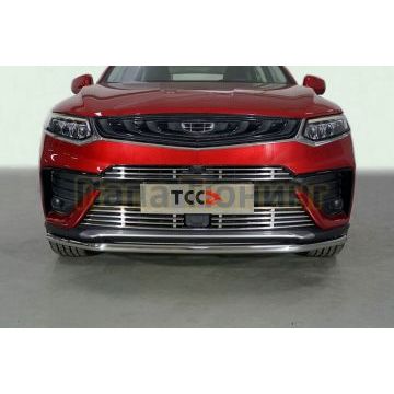Защита передняя нижняя 42,4 мм ТСС для Geely Tugella 2020-