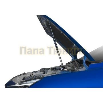 Амортизаторы капота 2 шт АвтоУпор для Hyundai Elantra VII 2021-