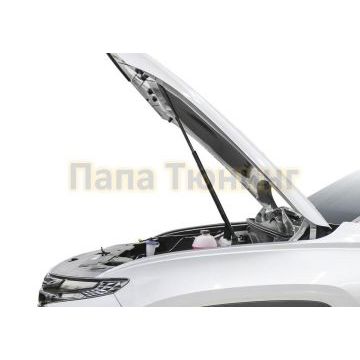 Амортизаторы капота АвтоУпор (2 шт.) для Hyundai Tucson 2021-