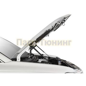 Амортизаторы капота, 2 шт. АвтоУпор для Volkswagen Taos 2021-