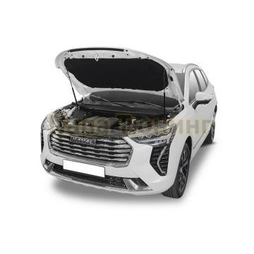 Амортизаторы капота, 2 шт. АвтоУпор для Haval Jolion 2021-