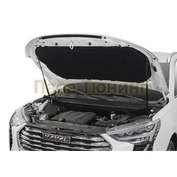 Амортизаторы капота, 2 шт. АвтоУпор для Haval Jolion 2021-