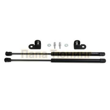 Амортизаторы капота, 2 шт. Pneumatic для Volkswagen Polo Sedan 2009-2021