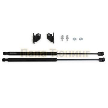 Амортизаторы капота, 2 шт. Pneumatic для Volkswagen Polo Sedan 2020-