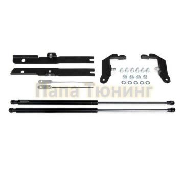 Амортизаторы капота, 2 шт. Pneumatic для Toyota Rav-4 2018- Амортизаторы капота, 2 шт. Pneumatic для Toyota Rav-4 2018-