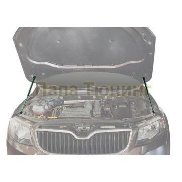 Амортизаторы капота, 2 шт. Pneumatic для Skoda Octavia 2013-2020