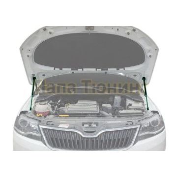 Амортизаторы капота, 2 шт. Pneumatic для Skoda Rapid 2014-