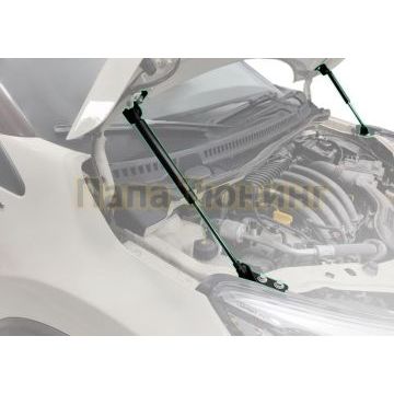 Амортизаторы капота, 2 шт. Pneumatic для Renault Kaptur 2016-