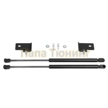 Амортизаторы капота, 2 шт. Pneumatic для Mitsubishi Pajero Sport 2015-2021 Амортизаторы капота, 2 шт. Pneumatic для Mitsubishi Pajero Sport 2015-2021