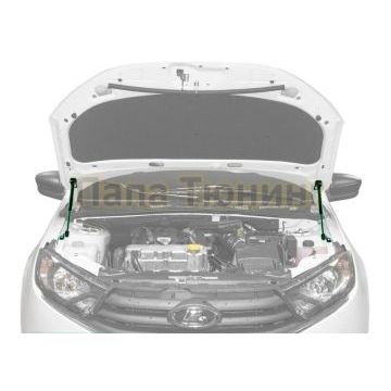 Амортизаторы капота, 2 шт. Pneumatic для Lada Granta 2018-