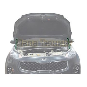 Амортизаторы капота, 2 шт. Pneumatic для Kia Sportage 2016-2021