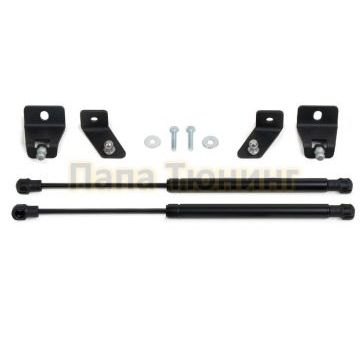 Амортизаторы капота, 2 шт. Pneumatic для Gazelle Next 2013-