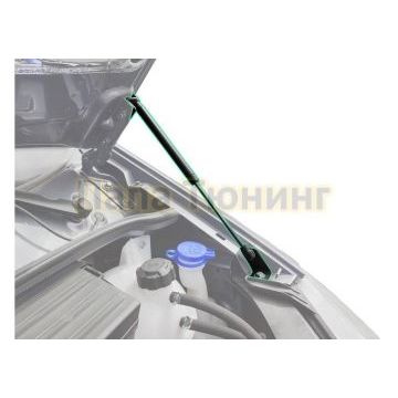 Амортизаторы капота, 2 шт. Pneumatic для Gazelle Next 2013-