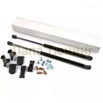 Амортизаторы багажника 2 шт. Pneumatic для Datsun On-Do 2014-2020 Амортизаторы багажника 2 шт. Pneumatic для Datsun On-Do 2014-2020