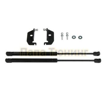 Амортизаторы капота, 2 шт. Pneumatic для Ravon Nexia R3 2015-