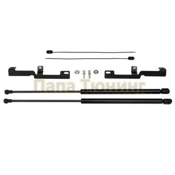 Амортизаторы капота, 2 шт. Сталь Pneumatic для Gazelle Business 2003-