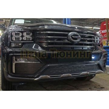 Защита радиатора GAC GS8 2016-2023 (GE/GL) black низ