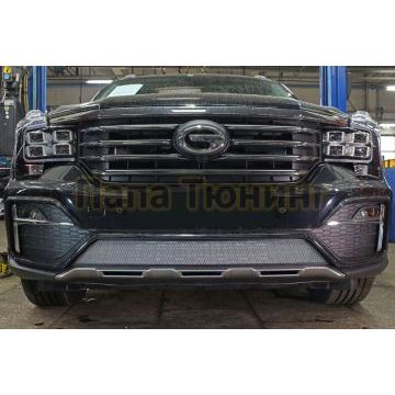 Защита радиатора GAC GS8 2016-2023 (GE/GL) chrome низ