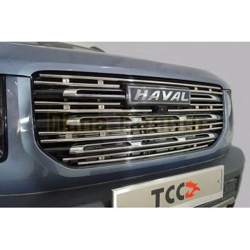 Решетка радиатора 12 мм ТСС для Haval DARGO 2022-