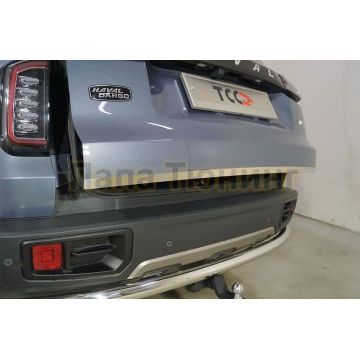 Накладка на заднюю дверь (лист шлифованный) ТСС для Haval DARGO 2022-