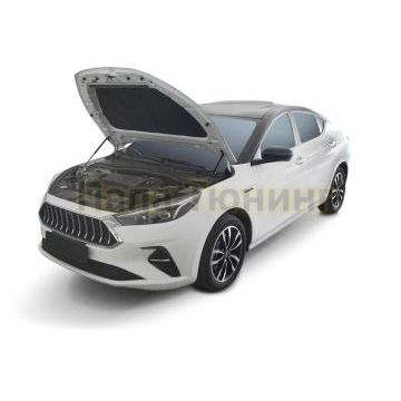 Амортизаторы капота АвтоУпор 2 шт для Jac J7 2021-